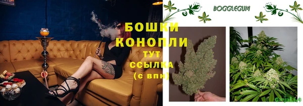 хмурый Ладушкин