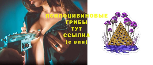 гидропоника Лабытнанги
