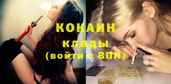 молекула духа Горняк