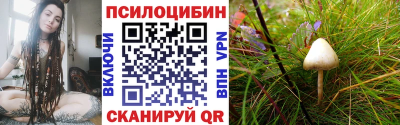 Псилоцибиновые грибы Magic Shrooms Мончегорск