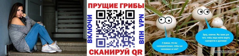 omg сайт  Мончегорск  Галлюциногенные грибы мухоморы 