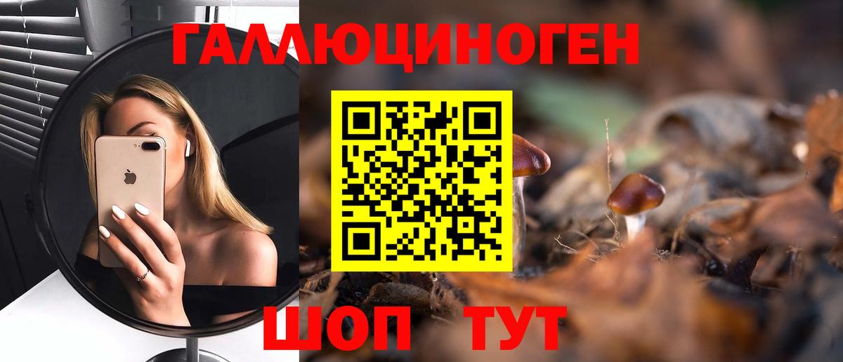 Мончегорск  Псилоцибиновые грибы MAGIC MUSHROOMS  Вход с VPN 